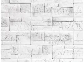 Vyr 500 3593 savona 1 t